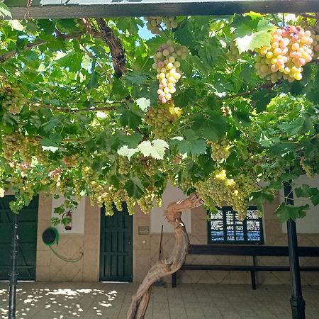 Casa Rural La Del Alba Seria Argamasilla De Alba Екстер'єр фото