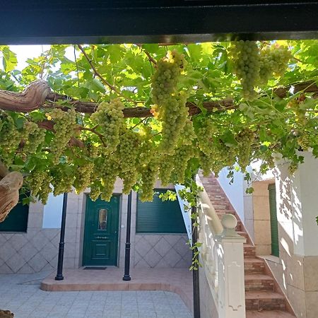 Casa Rural La Del Alba Seria Argamasilla De Alba Екстер'єр фото