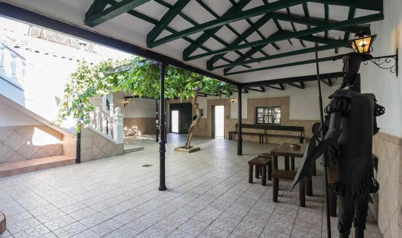 Casa Rural La Del Alba Seria Argamasilla De Alba Екстер'єр фото