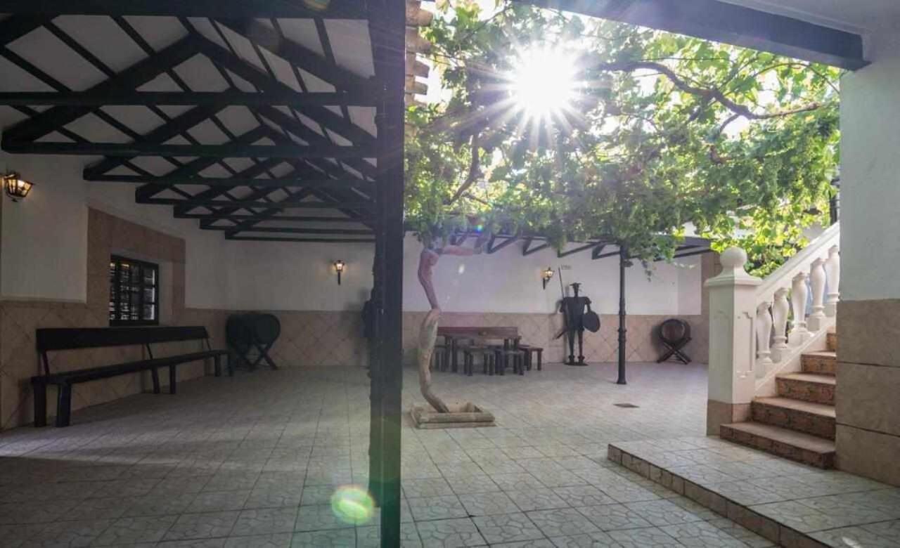 Casa Rural La Del Alba Seria Argamasilla De Alba Екстер'єр фото