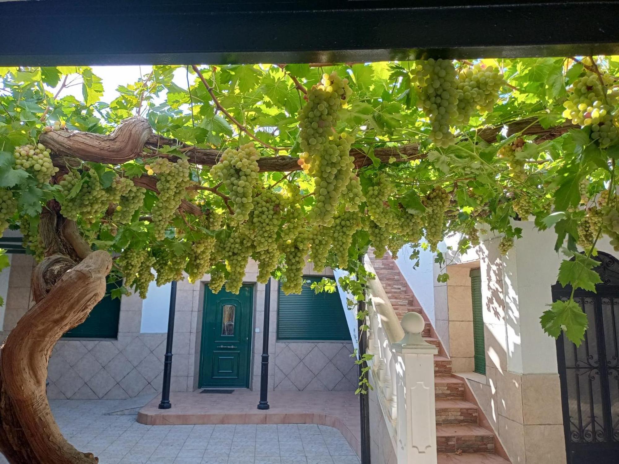 Casa Rural La Del Alba Seria Argamasilla De Alba Екстер'єр фото